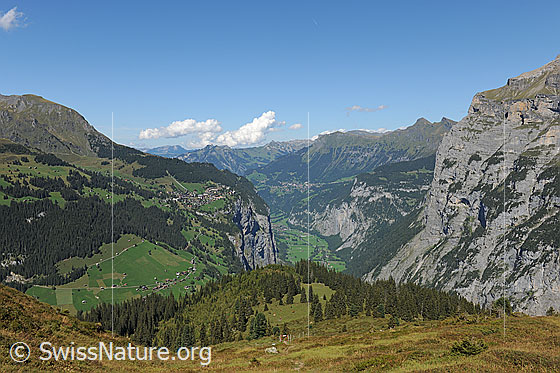 Foto: Tiefblick ins Lauterbrunnental und auf Mürren und Wengen.