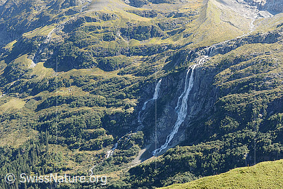 Foto: Lauterbrunnental: Tal der Wasserfälle
Links: Holdrifälle. Rechts: Talbachfäll