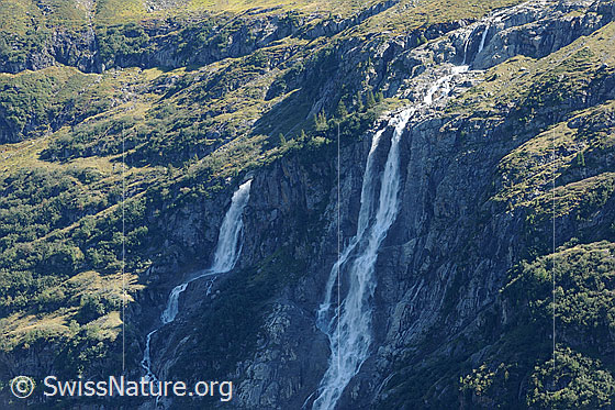 Foto: Tal der Wasserfälle: Lauterbrunnental mit Schmadribachfall
Links: Holdrifälle. Rechts: Talbachfäll