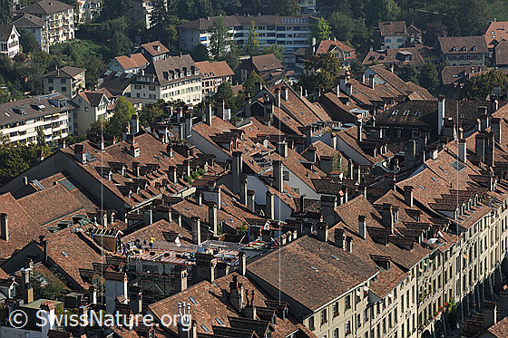 Foto: Blick vom Münster auf die Altstadt (Unterstadt) von Bern.