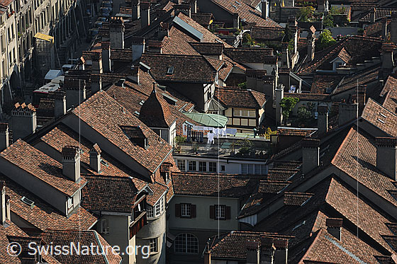 Foto: Blick vom Münster auf die Altstadt (Unterstadt) von Bern.
Diese Häuser wurden zu einer Zeit gebaut, als noch keine oder nur wenige Maschinen zur Verfügung standen.