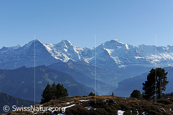 Foto: Klare Sicht auf Dreigestirn Eiger, Mönch, Jungfrau.