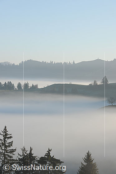 Foto: Hügelzüge über dem Nebelmeer. An der Nebelgrenze wird die Landschaft stimmungsvoll in Nebel gehüllt.