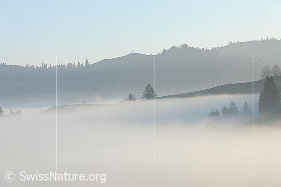 Foto: An der Nebelgrenze im Emmental. Stimmungsvoll wird die Hügellandschaft in Nebel gehüllt.
