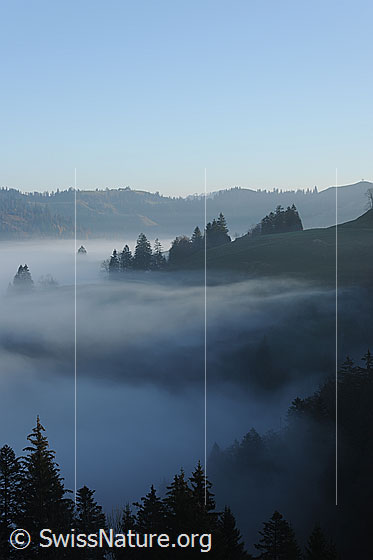 Foto: Stimmungsbild: Nebelgrenze.
Nebelschwaden ziehen durch die Tannenspitzen der Emmentaler Hügellandschaft.