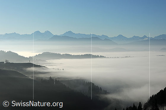 Foto: Nebelstimmung und Nebelmeer zwischen Emmental und Berner Alpenkette.
Vordergrund: Nebelschwaden der Nebelgrenze ziehen sich in die Hügellandschaft.