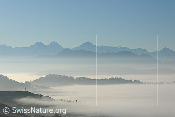 Foto: Nebelmeer und Nebelschicht vor Hohgant und Dreigestirn Eiger, Mönch und Jungfrau. Vordergrund: Nebelgrenze mit Nebelschwaden, welche ins Hügelland hinein ziehen.