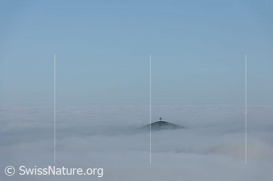 Foto: Hügel als kleine Insel im Nebelmeer (Nebelstimmung).