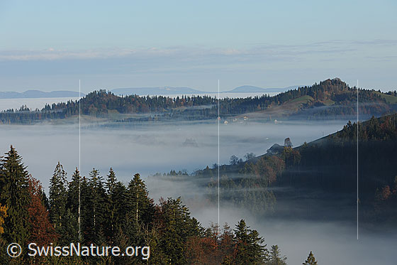 Foto: Herbststimmung mit feiner Nebelschicht über den Tälern der Emmentaler Hügellandschaft. Bewaldete Kreten und Häuser befinden sich an der Nebelgrenze.