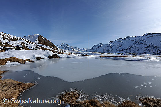 Foto: Gefrorener See in Berglandschaft mit erstem Schnee im Herbst.