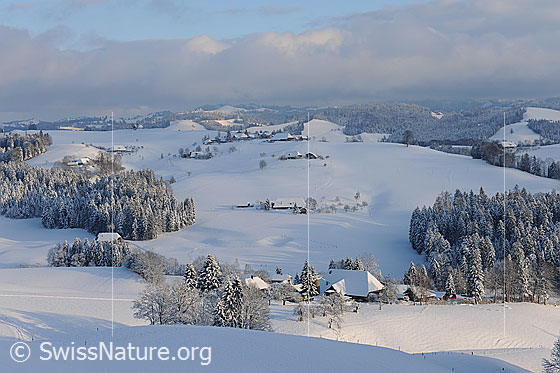 Foto: Winterlandschaft mit Streiflicht. Die Hügellandschaft des Emmentals mit Wäldern, Weilern und Bauernhöfen ist frisch verschneit. Im Hintergrund ist ein Wolkenfeld zu sehen.
