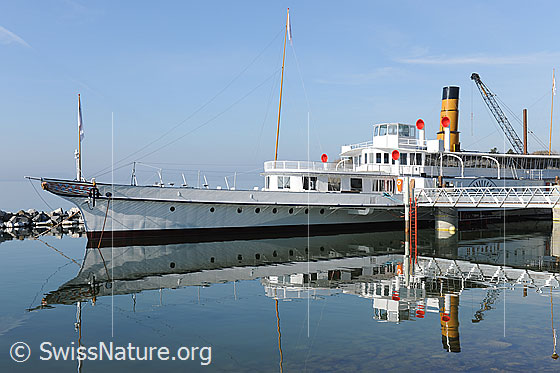 Foto: Raddampfer auf dem Genfersee (Original und Spiegelung).