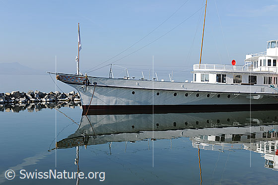 Foto: Schiff: Raddampfer (Original und Spiegelbild).