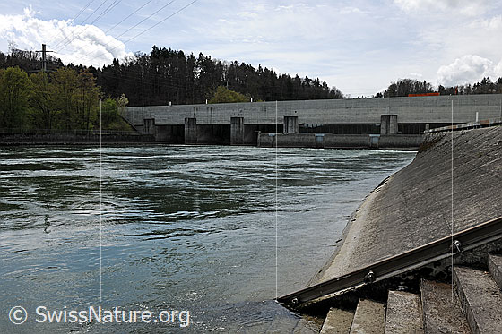 Foto: Flusskraftwerk Bannwil.