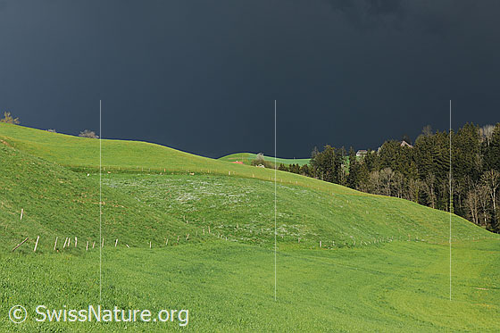 Foto: Gewitterstimmung mit dunklen Wolken am Himmel. Die Hügellandschaft mit Wiesen und Weiden im Vordergrund ist grün.