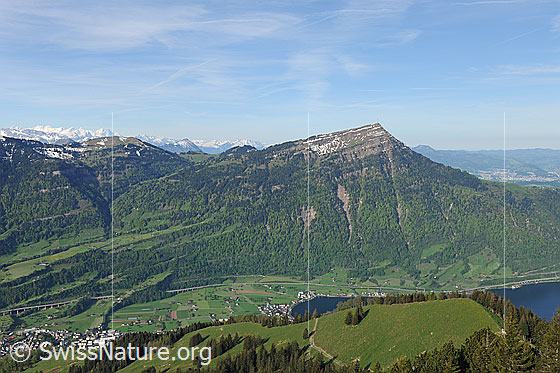 Foto: Rigi vom Gnipen (Rossberg). Davor Arth-Goldau.