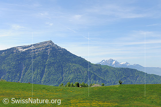 Foto: Rigi und Pilatus vom Walchwilerberg.