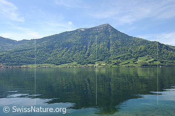 Foto: Rigi und Zugersee. Spiegelung der Rigi im Zugersee.