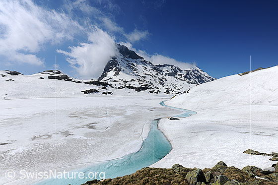 Foto: Hellblauer Wasserstreifen am Ufer eines gefrorenen Bergsees. Die Eisdecke beginnt aufzutauen und es hat sich ein schmaler Streifen mit hellbau gefärbtem Wasser gebildet. In der Umgebung liegt Schnee und am blauen Himmel über den Bergen sind Quellwolken zu sehen.