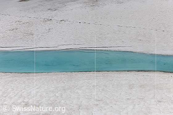 Foto: Hellblaues Wasser auf der Eisdecke eines Bergsees. Der zugefrorene See beginnt zu tauen.