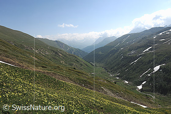 Foto: Blick über das Saflischtal.