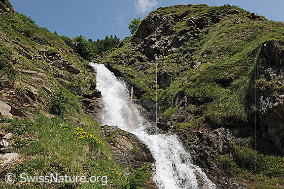 Foto: Wasserfall im Saflischtal.