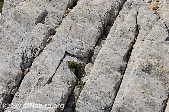 Foto: Risse im Fels. Die schmalen Spalten verlaufen parallel und ergeben ein regelmässiges Muster im hellen Fels.