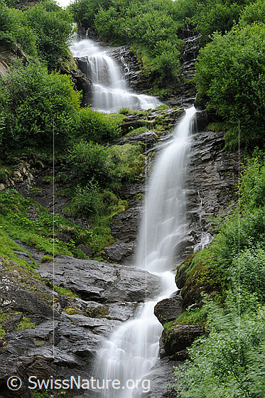 Foto: Wasserfälle über gestufte Felsen umgeben von grüner Vegetation (Langzeitbelichtung).