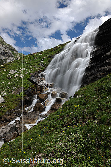 Foto: Wasserfall in Sommerlandschaft (Langzeitbelichtung). Das Wasser fällt über die leicht gestufte Felswand und fliesst als Bergbach weiter durch die grüne Vegetation. Am Himmel sind Quellwolken zu sehen.