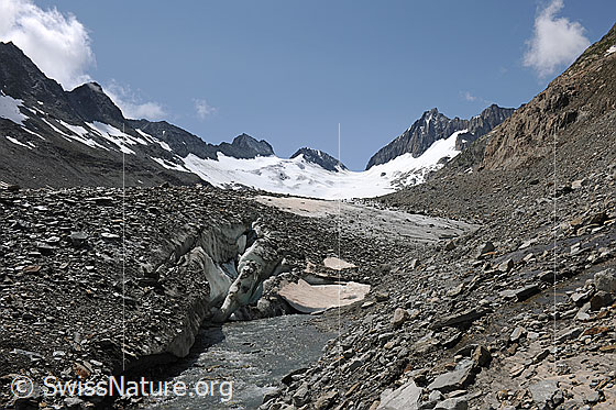 Foto: Junge Aare. 
Gletschertor des Oberaargletschers, welchem ein Teil der jungen Aare als Gletscherbach entspringt.