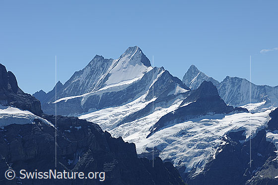 Foto: Lauteraarhorn, Schreckhorn und Oberer Grindelwaldgletscher.