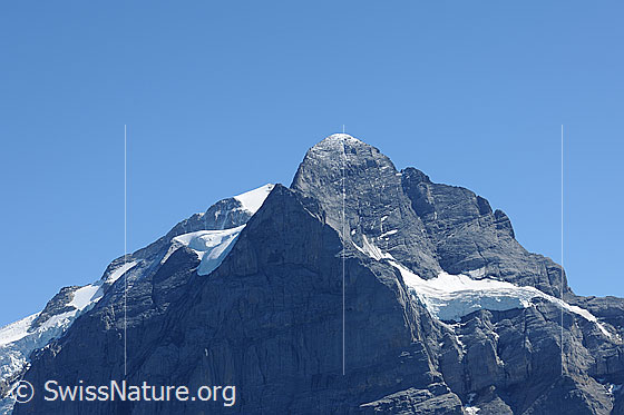 Foto: Scheideggwetterhorn und Wetterhorn.
Die mächtige Nordwand des Scheideggwetterhorns liegt noch im Schatten. 
Rechts ist der Gutzgletscher zu sehen.