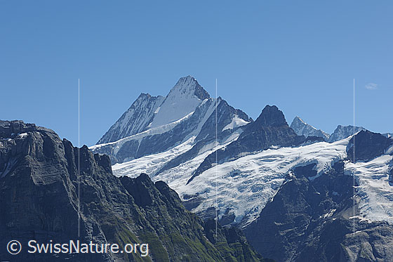 Foto: Schreckhorngruppe von NNW.
Lauteraarhorn, Schreckhorn und Klein Schreckhorn.
Gletscher: Oberer Grindelwaldgletscher und Wächselgletscher