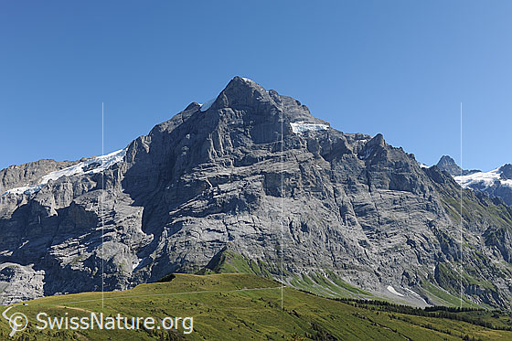 Foto: Felswände der Wetterhorngruppe, Grindelwald.
Scheideggwetterhorn (Nordwand), Wetterhorn und Chrinnenhorn mit Alpweiden der Region Grosse Scheidegg im Vordergrund.