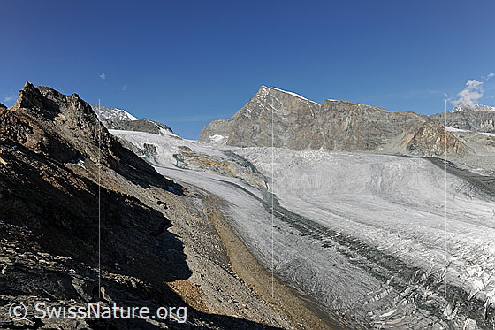 Foto: Allalinhorn und Allalingletscher vom Schwarzbergchopf.
