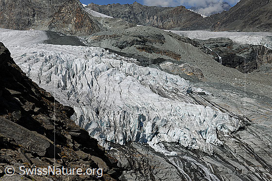 Foto: Gletscherzunge des Allalingletschers.