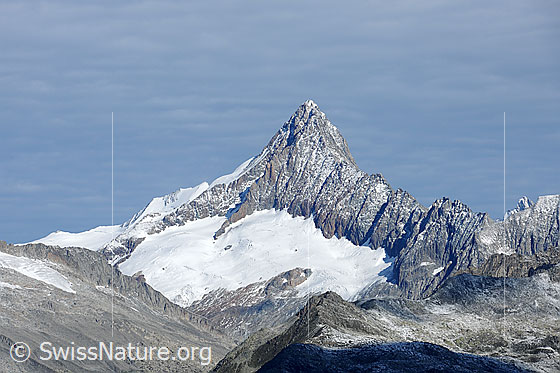 Foto: Finsteraarhorn vom Eggerhorn.