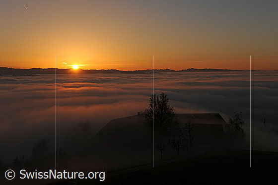 Foto: Sonnenuntergang und Nebelmeer.