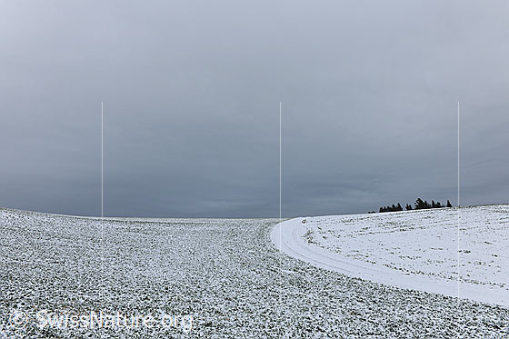 Foto: Linien in frisch verschneiter Landschaft.