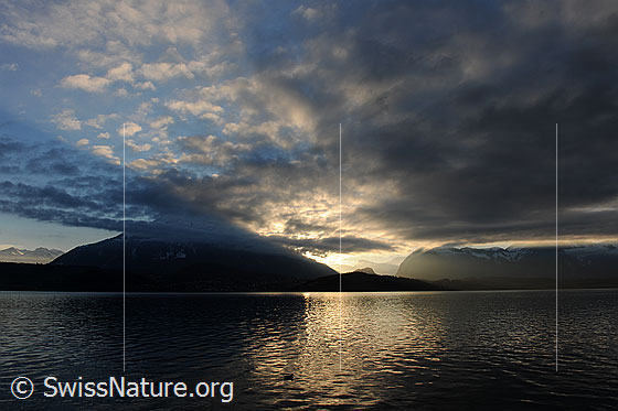 Foto: Abendstimmung am Niesen.