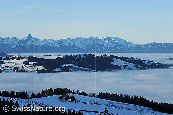 Foto: Nebelmeer in Hügellandschaft vor Stockhorn und Gantrischkette.
