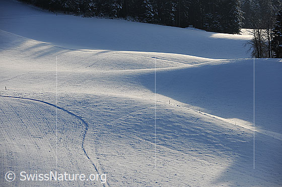Foto: Schneebedeckte Landschaft mit Bodenwellen im Licht und Schatten.