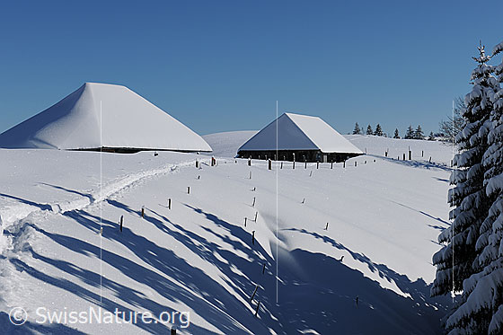 Foto: Alphütten in sonniger Winterlandschaft. Eine Spur führt durch die sanfte, frisch verschneite Landschaft zu den beiden Hütten. Die Zaunpfähle ragen noch wenig aus der Schneedecke.