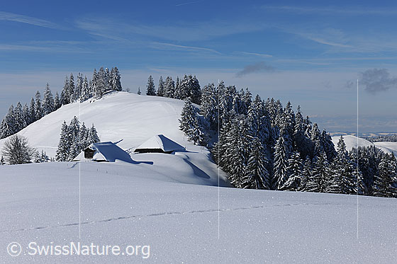 Foto: Alphütten im Schnee. Die Hügellandschaft mit Tannenwald ist frisch verschneit. Die Schneedecke glitzert im Sonnenlicht. Am blauen Himmel sind Schleierwolken zu sehen.