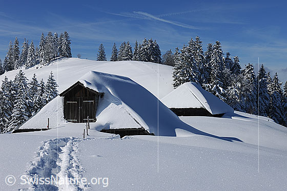 Foto: Alphütten in tief verschneiter, sonniger Winterlandschaft. Zu den Hütten führt eine Schneeschuhspur. Am blauen Himmel über dem frisch verschneiten Tannenwald sind Schleierwolken zu sehen.