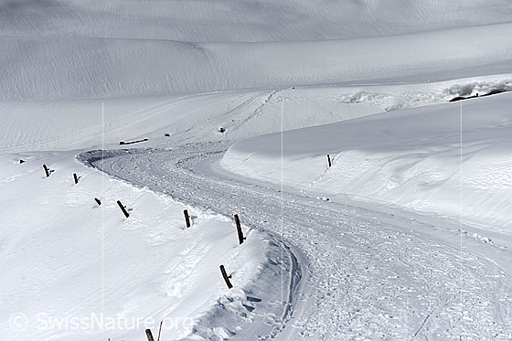 Foto: Winterwanderweg in schneebedeckter Landschaft mit Bodenwellen.