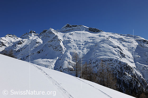 Foto: Berglandschaft mit Schinhörner und Chollerhorn im Winter. In der Schneefläche im Vordergrund verlaufen zwei Spuren.