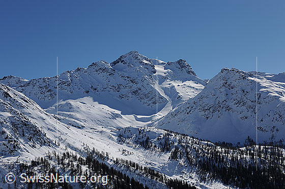Foto: Schwarzhorn und Stockhorn im Winter. Schneebedeckte Berglandschaft mit markanten Gipfeln und lichten Bergwäldern an der Waldgrenze.
