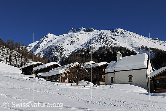 Foto: Bergdorf mit Kappelle. Die Dächer von Imfeld und die Berglandschaft sind schneebedeckt.