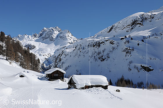 Foto: Alphütten am Winterwanderweg. Auf den Dächern der Hütten und in der Berglandschaft mit Ofenhorn liegt eine kompakte Schneedecke.